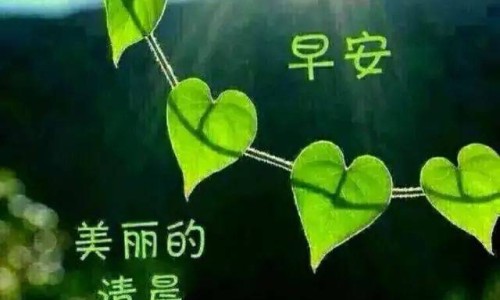 奥贝撒坦片早上吃好还是晚上吃好-【奥贝沙坦药有副作用吗】奥贝撒坦片早上吃好还是晚上吃好 - 奥贝沙坦胶囊又名网